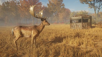 theHunter: Call of the Wild™ - Hunting Starter Pack — скриншот 4