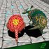 Arcade Archives 2 ARMADILLO RACING