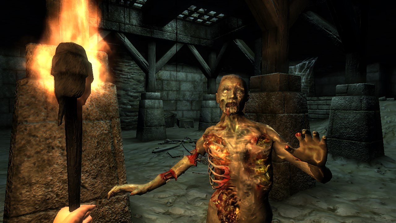 The Elder Scrolls IV: Oblivion Game of the Year Edition (PC) – 2009 screenshot 4