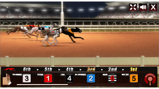 Greyhound Racing Dog Run screenshot 3