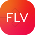 FLV Converter - MP4 to FLV