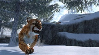 Cabela's Dangerous Hunts 2013 screenshot 1