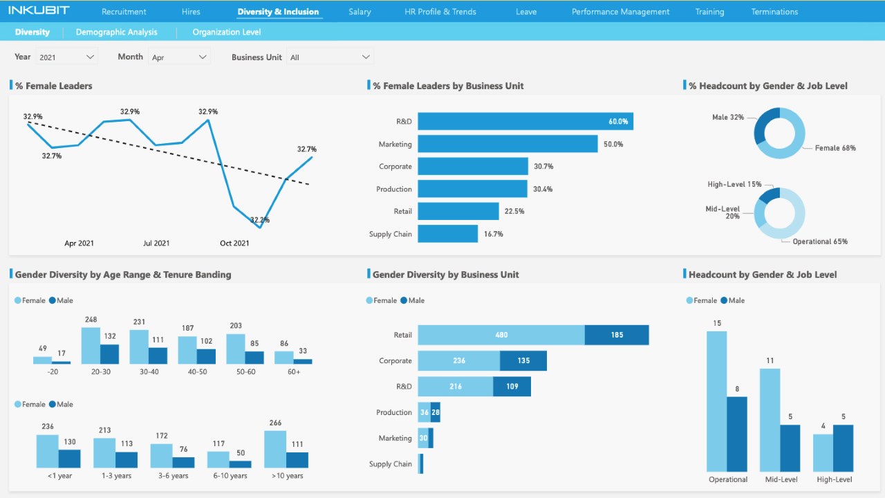 Snapshot 3 of Power BI HR Analytics Accelerator