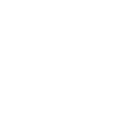 MPLaY