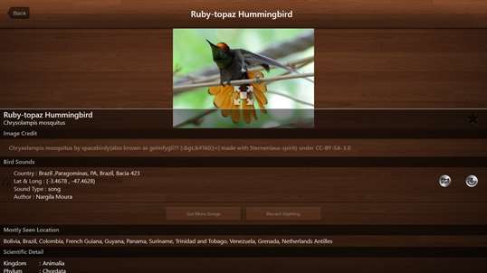 Bird Calls - Free : 4500+ Bird Sounds, Bird Songs, Bird Identification