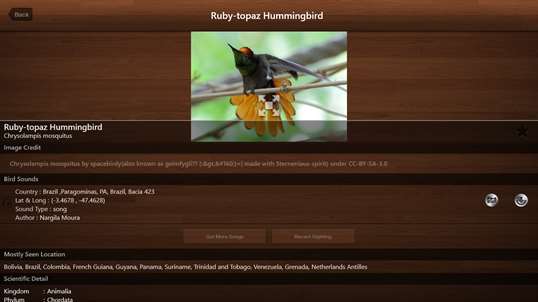 Bird Calls - Free : 4500+ Bird Sounds, Bird Songs, Bird Identification & Bird Guide screenshot 4
