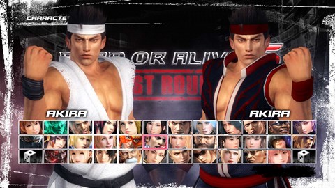 Personnage DEAD OR ALIVE 5 Last Round : Akira