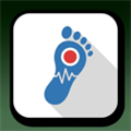 Steps Recorder