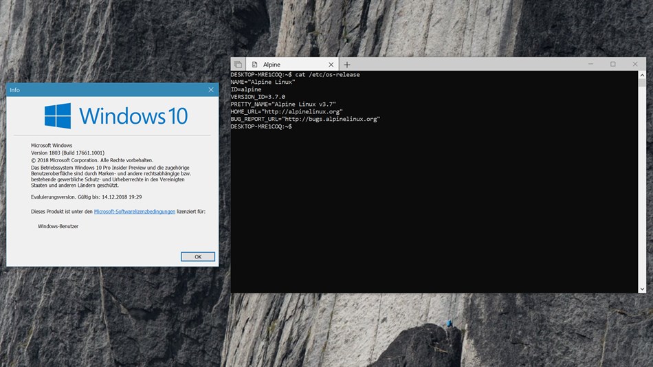 Alpine WSL (Windows) Podle: agowa338