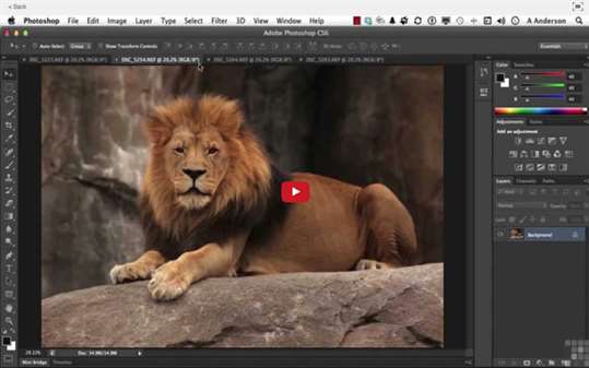 Make It Simple! Adobe Photoshop Guides screenshot 6