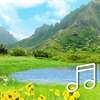 Sleeping Piano:Piano Lullabies With Nature Sounds