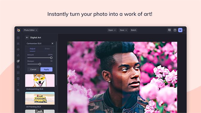free download befunky photo editor for pc windows 10