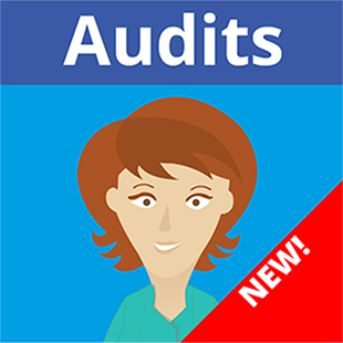 MEG Audit Tool v3