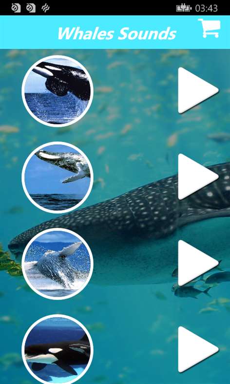 Relaxing Whale Sounds:Sounds of Whales With Music Screenshots 1