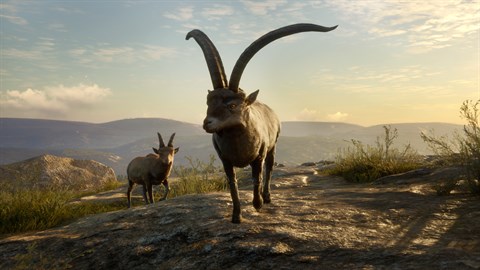 theHunter: Call of the Wild™ - Cuatro Colinas Game Reserve - Windows 10