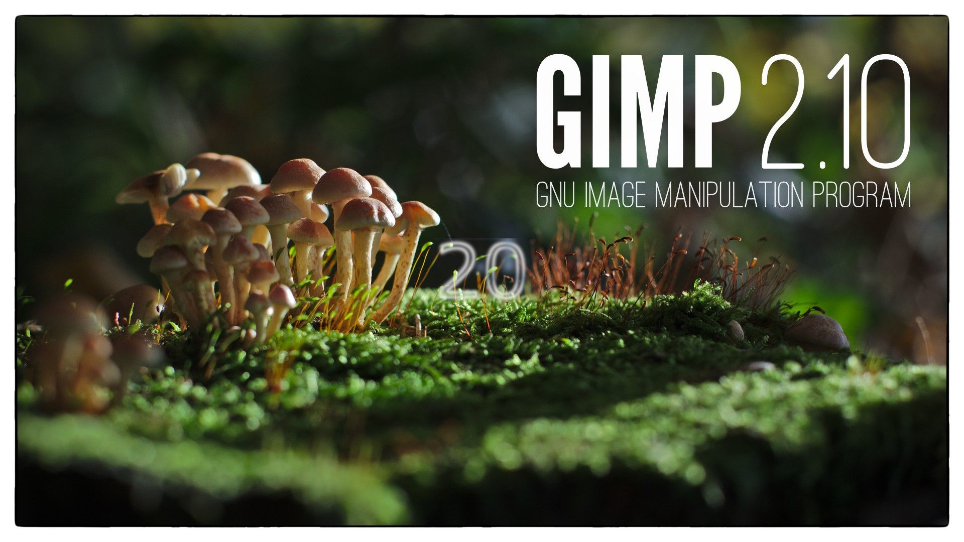 Acheter Gimp 2 10 20 Microsoft Store Fr Bj