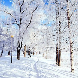 Get Winter Wallpaper Microsoft Store