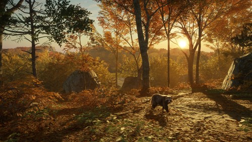 theHunter: Call of the Wild™ - Salzwiesen Park