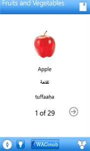 Learn Arabic screenshot 7