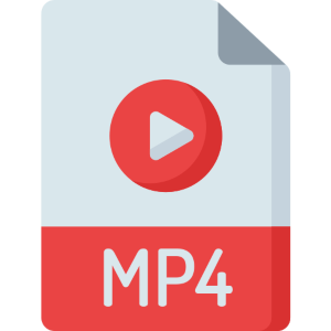 Online Videos to MP4