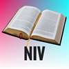 NIV Bible.