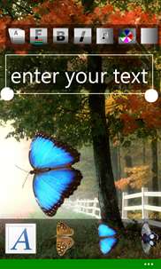 Text on photo: forest screenshot 1