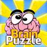 Brain Puzzle Pro