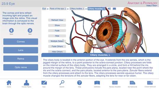 Anatomy & Physiology - Learn Anatomy Body Facts - Study Reference for Health Care Practitioners and Health & Fitness Professionals screenshot 1