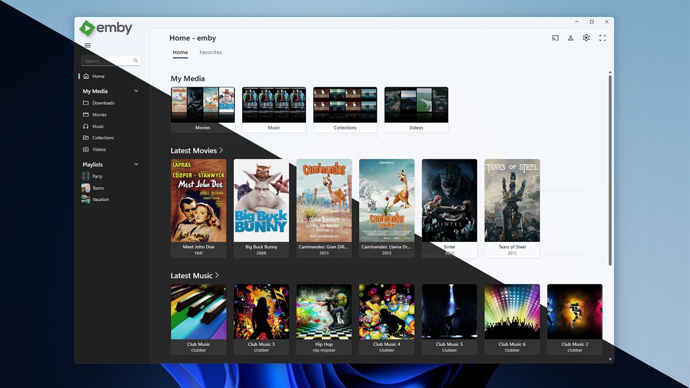 #5. Emby (Windows) Door: Emby LLC