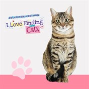 字幕はありません