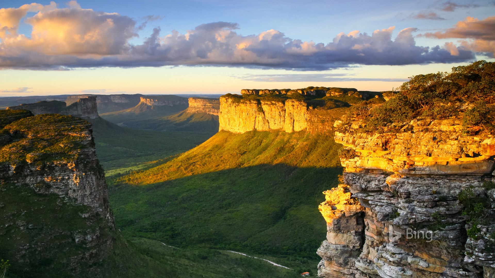 Get Bing in Brazil Microsoft Store Get Bing in Brazil Microsoft Store