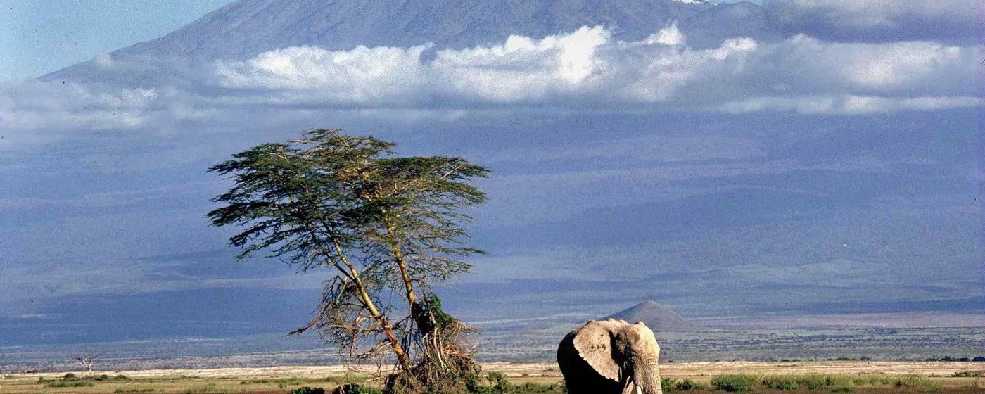 Kilimanjaro Wallpaper New Tab marquee promo image
