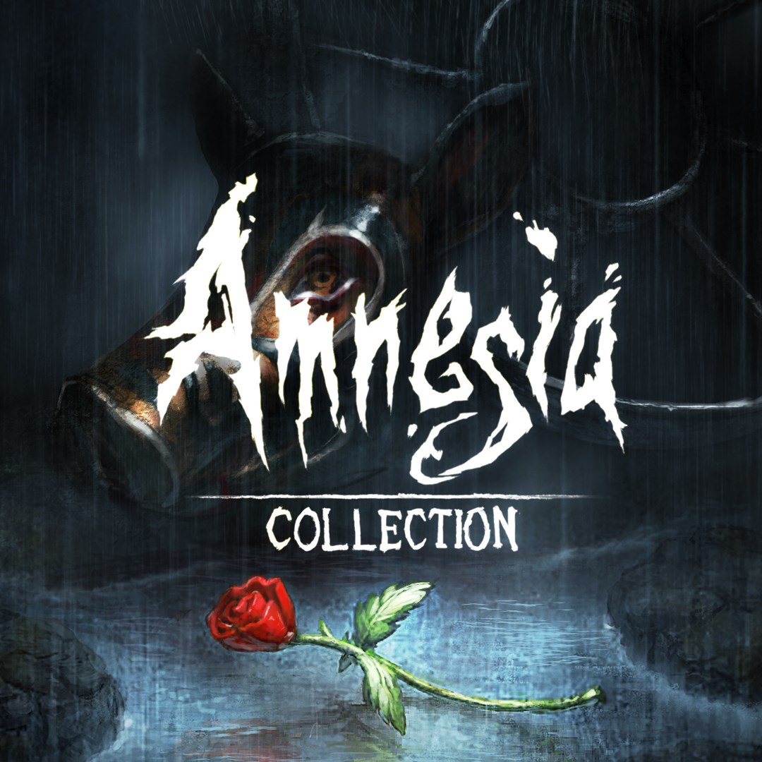 Amnesia: Collection technical specifications for computer