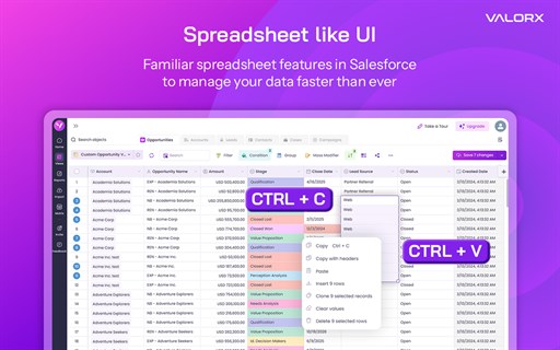 Valorx Wave for Salesforce