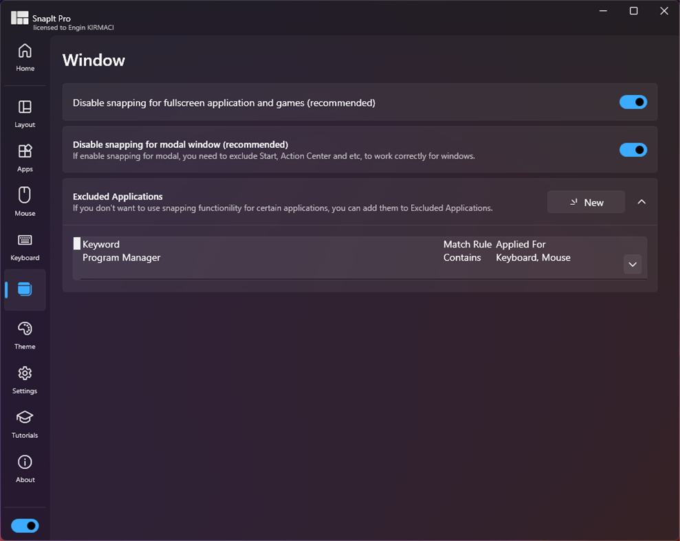 #7. SnapIt (Windows) 由: Engin Kırmacı