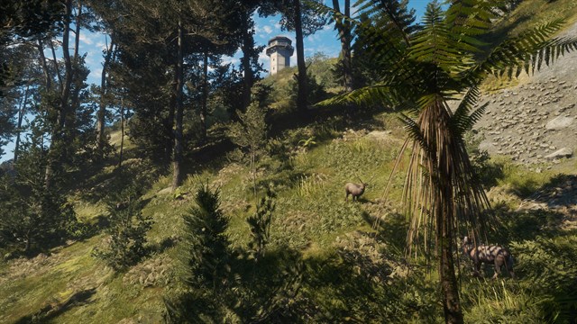theHunter Call of the Wild - Te Awaroa National Park screenshot 1