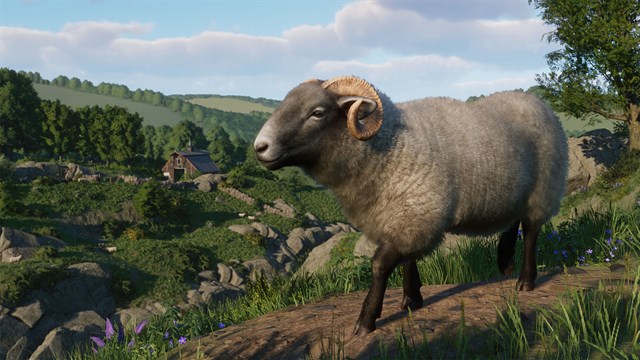 Planet Zoo: Barnyard Animal Pack screenshot 1