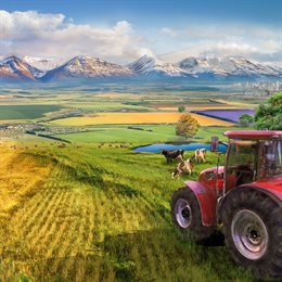 Aperçu Farm Manager 2022