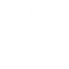 Spin the bottle party game