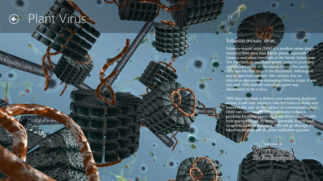 Animated viruses environment page