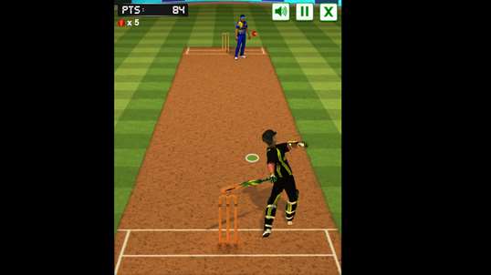 Cricket Batter screenshot 1
