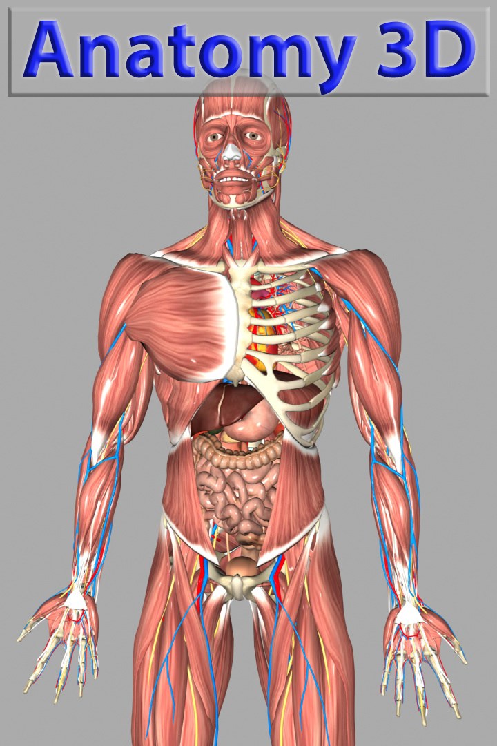 Buy 3D Human Anatomy - Microsoft Store