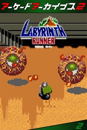 アーケードアーカイブス2 ラビリンスランナー