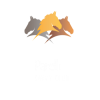 ParelliSavvyClub
