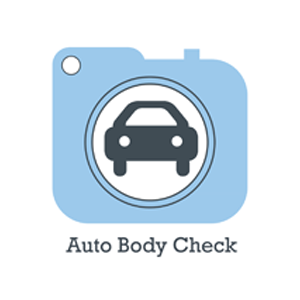 Auto Body Check