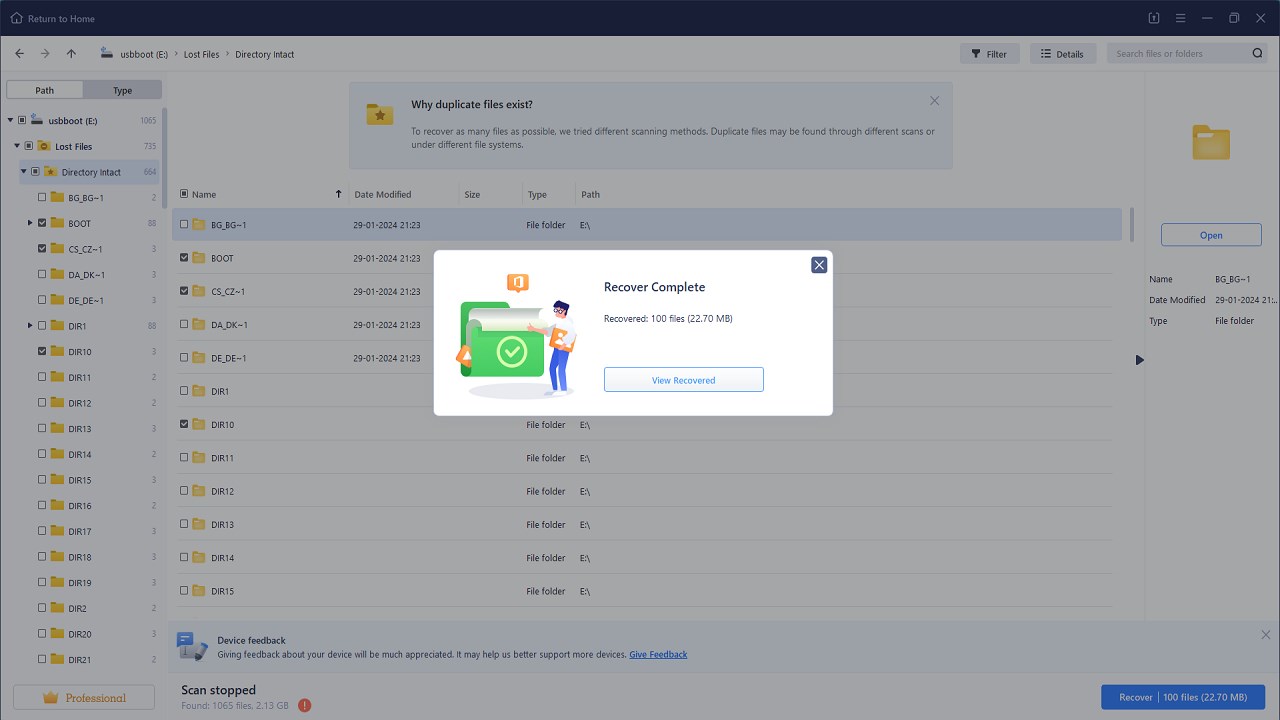 Snapshot 5 of BLR Data File Recovery Software Tool