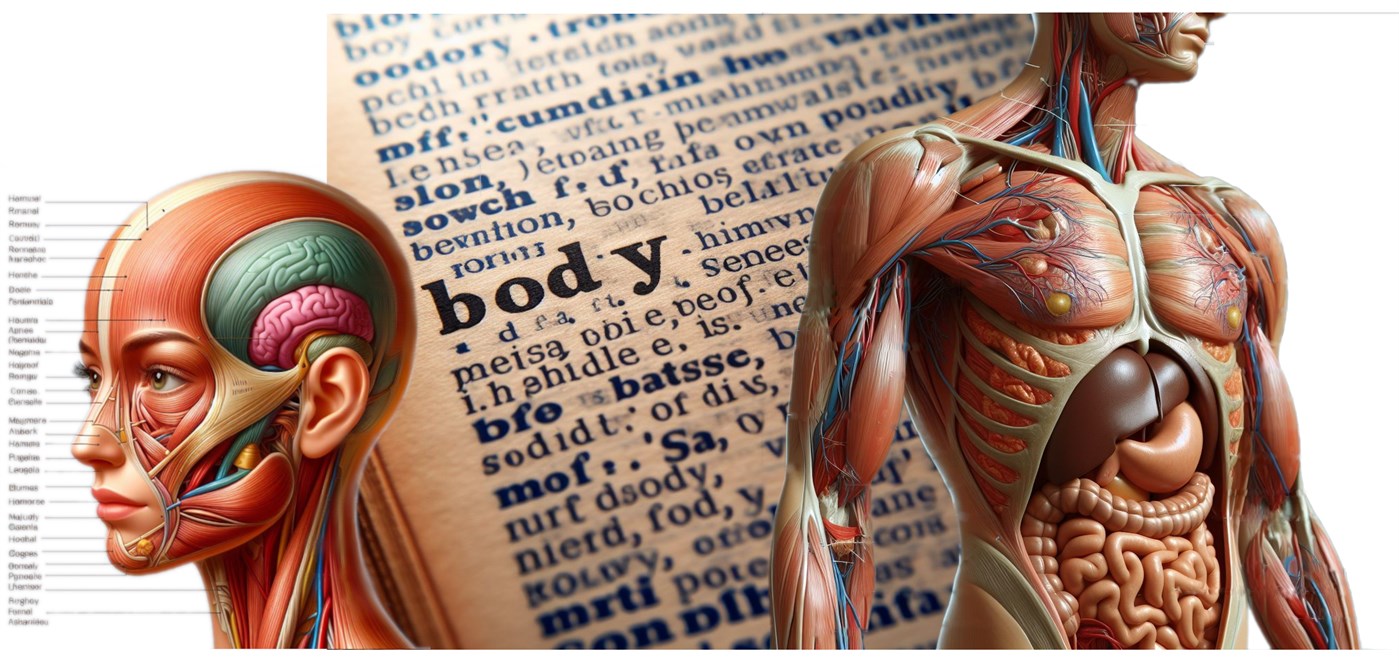 #2. Fast Study (Windows) 来自: Bradz