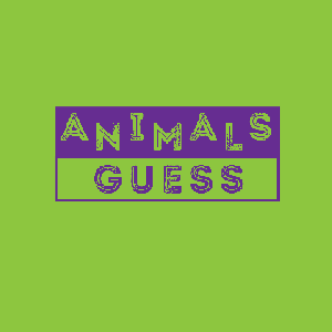 Animals Guess