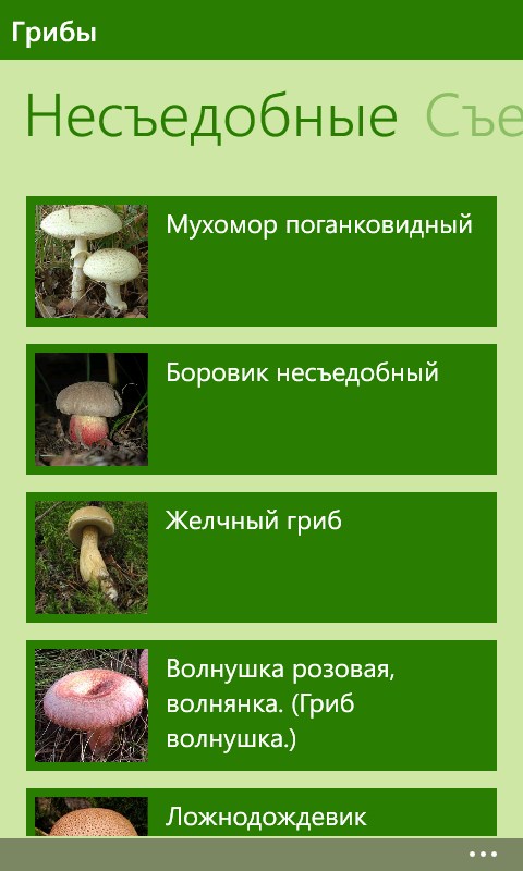 Какой категории грибы