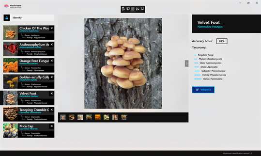 Mushroom Identification screenshot 5